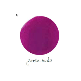 Pilot Iroshizuku Tintenpatronen Yama Budo - crimson glory
