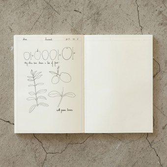 Midori Notizbuch Journal A5 Frame